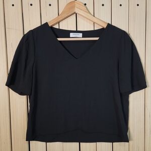 Aritzia Babaton Blouse Black V-Neck Blouse